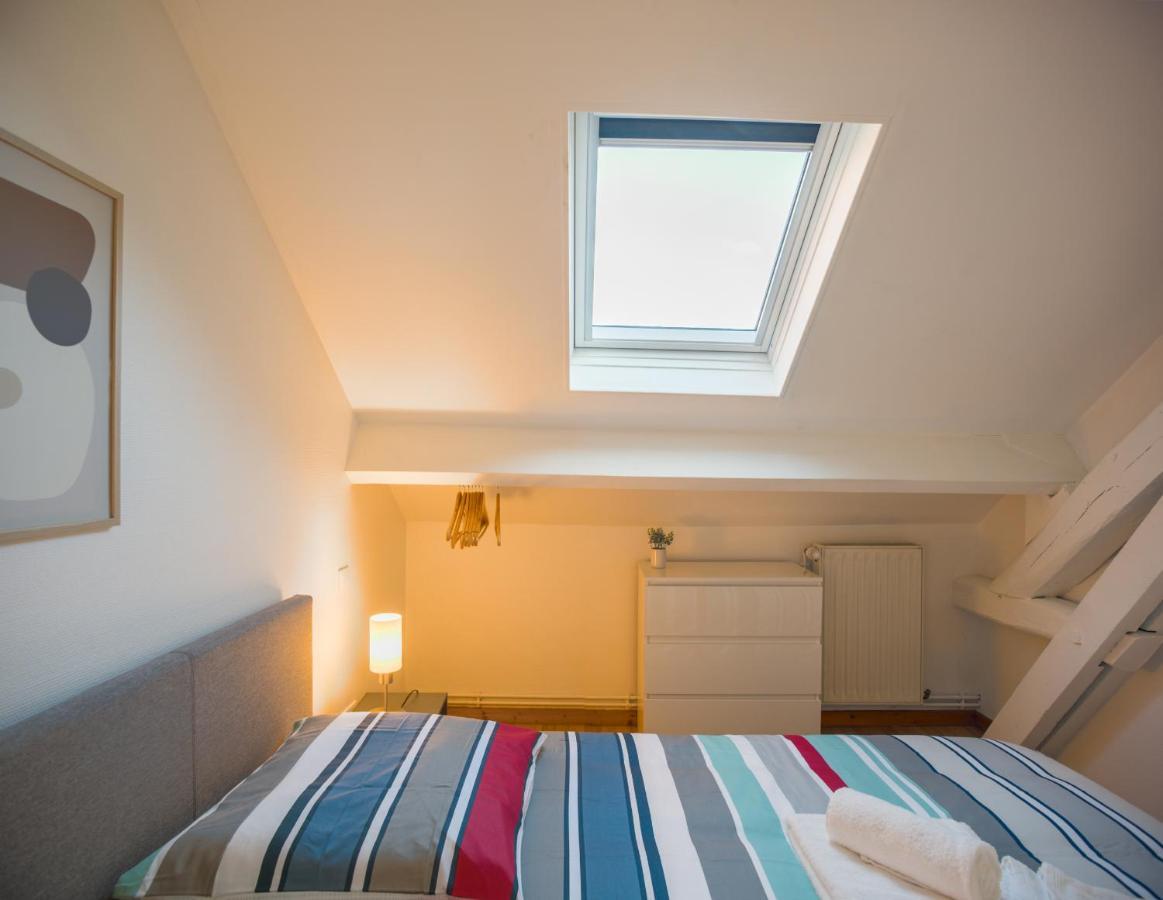 Le Duplex Pasteur - 5 Min Hypercentre - Ideal Groupe - Parking Gratuit Троа Екстериор снимка